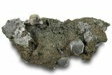 Calcite Crystals on Dolomite and Sparkling Pyrite - New York #251201-1
